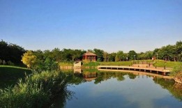 天津公园爆料视频